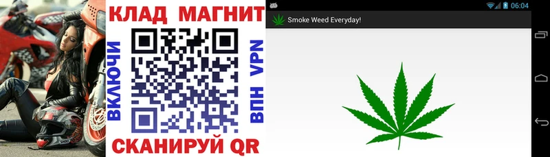Где купить наркотики Старица Конопля  Мефедрон  A PVP  АМФЕТАМИН  ГАШИШ 