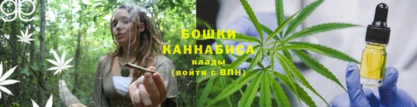 скорость Пересвет