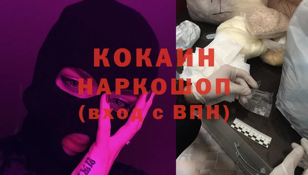 прущие грибы Аркадак