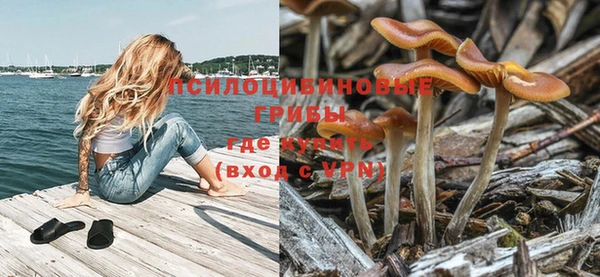 скорость Пестово