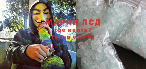 прущие грибы Аркадак