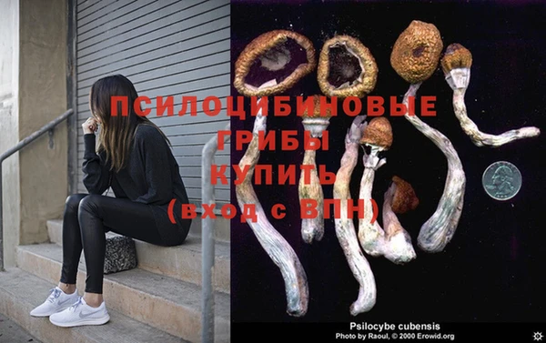 винт Арсеньев