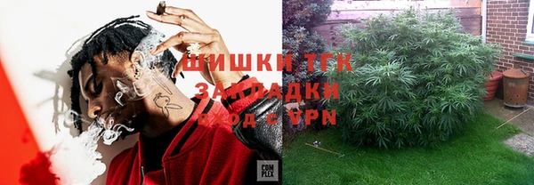 прущие грибы Аркадак