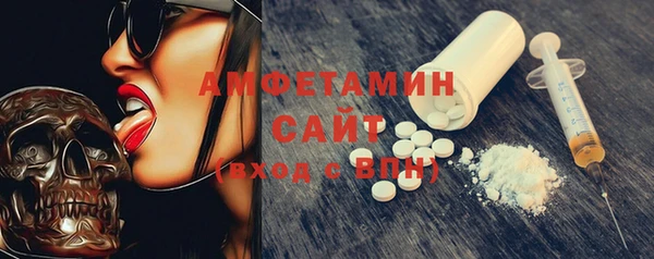 прущие грибы Аркадак