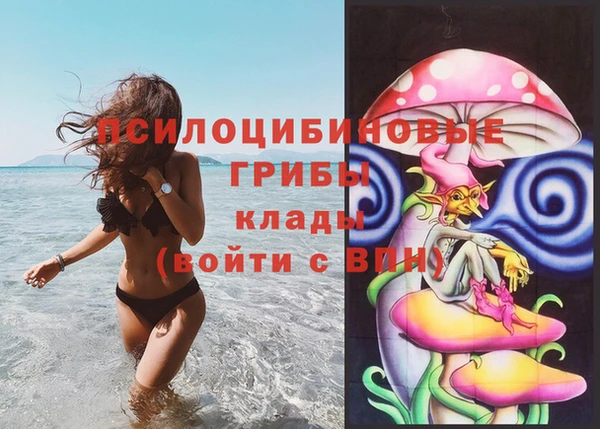скорость Пестово