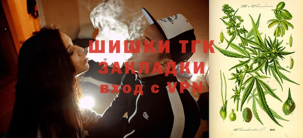 винт Арсеньев